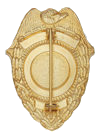 PIN & SAFETY CATCH