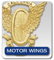 MOTOR WINGS