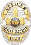 S36D