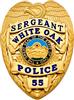 SB1911